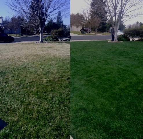 California S 1 Lawn Painting Service, Green Grass Landscaping Tracy Ca